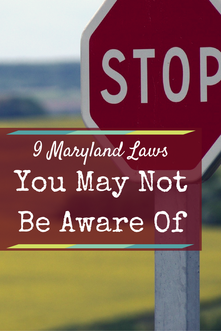 maryland homebrew laws