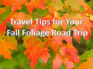 Fall_foliage_road_trip_travel_tips