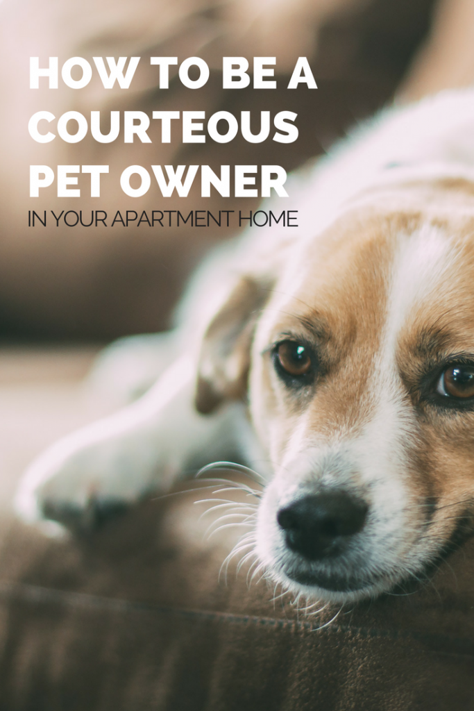 How to be a Courteous Pet Owner in Your Apartment Home | Hirschfeld