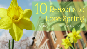 10 reasons to love spring in baltimore maryland