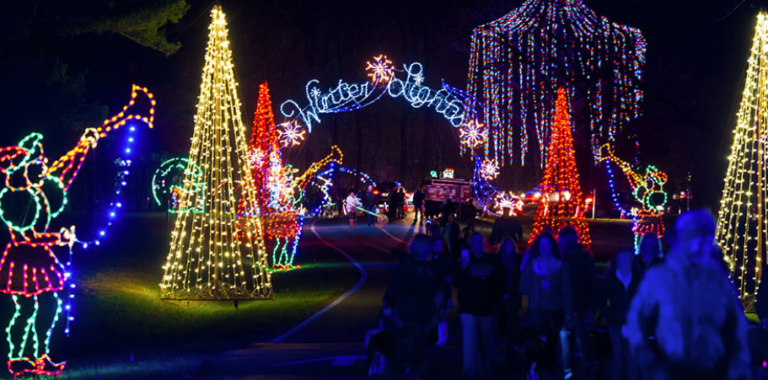 Best Holiday Light Displays Near Washington D.C. | Hirschfeld